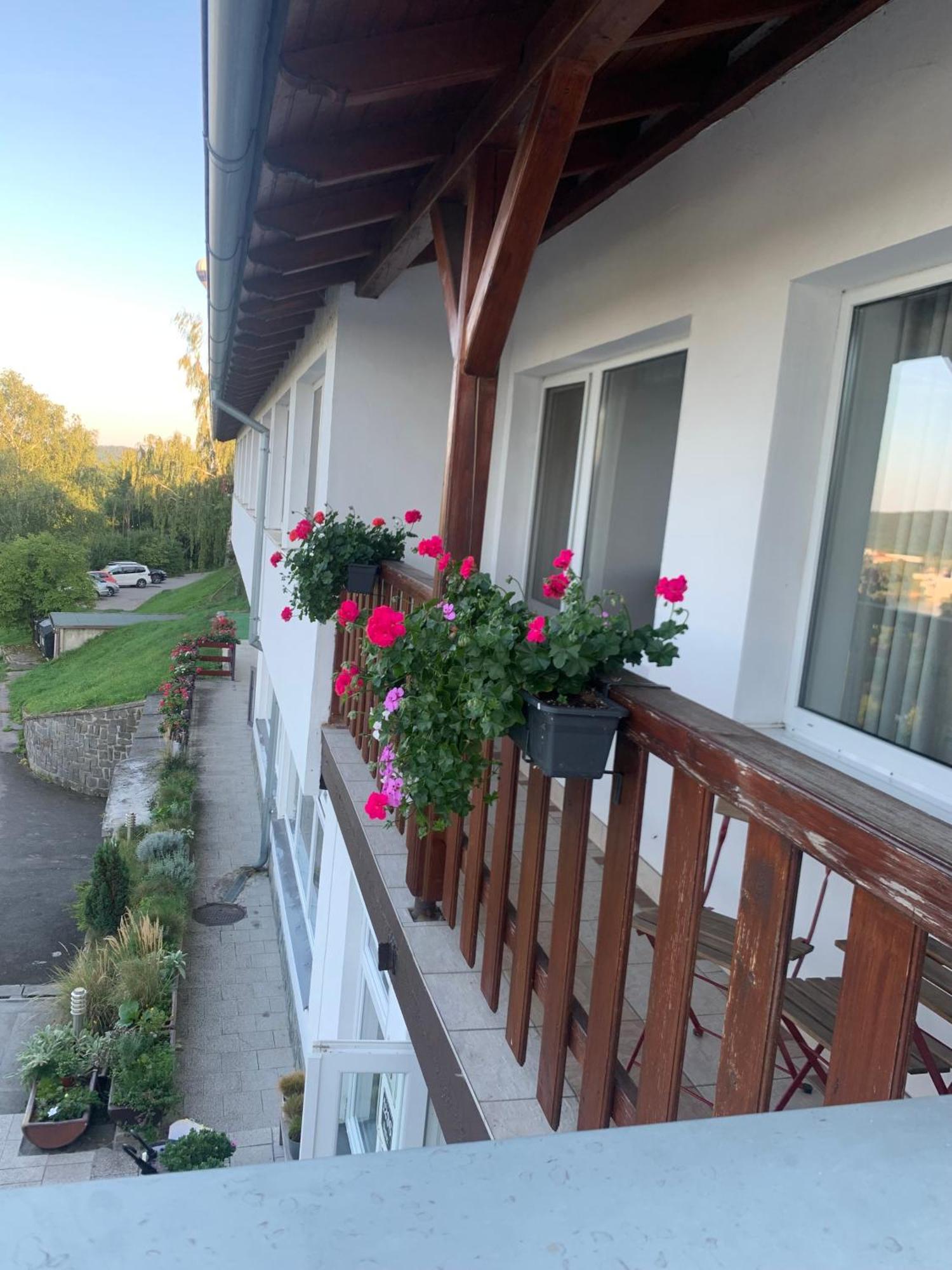 Penzion Kozi Horka U Brnenske Prehrady Brno Buitenkant foto